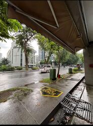 Serangoon Road (D12), Shop House #584046911